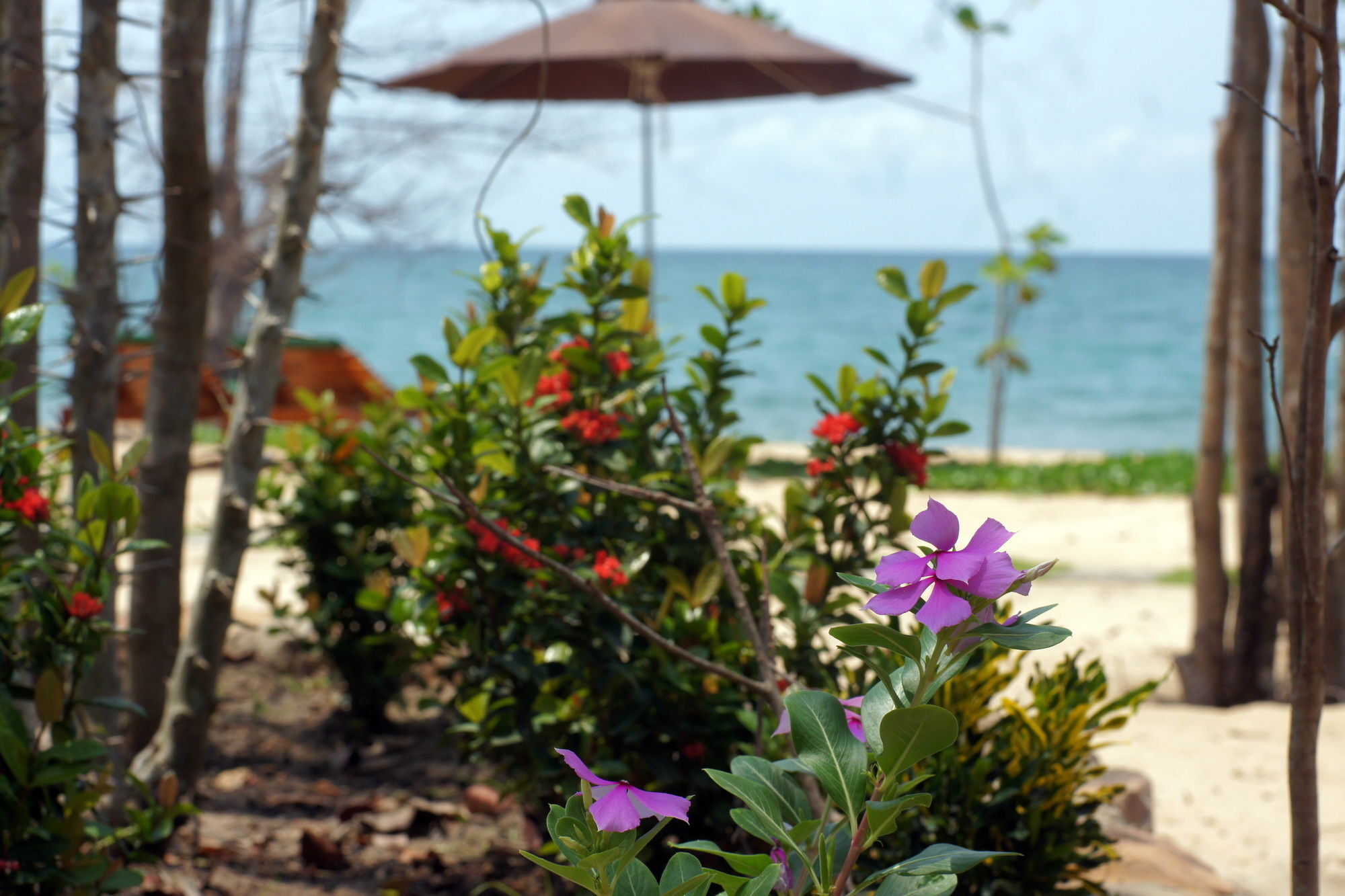Gold Sand Beach Bungalow Фукуок Екстер'єр фото